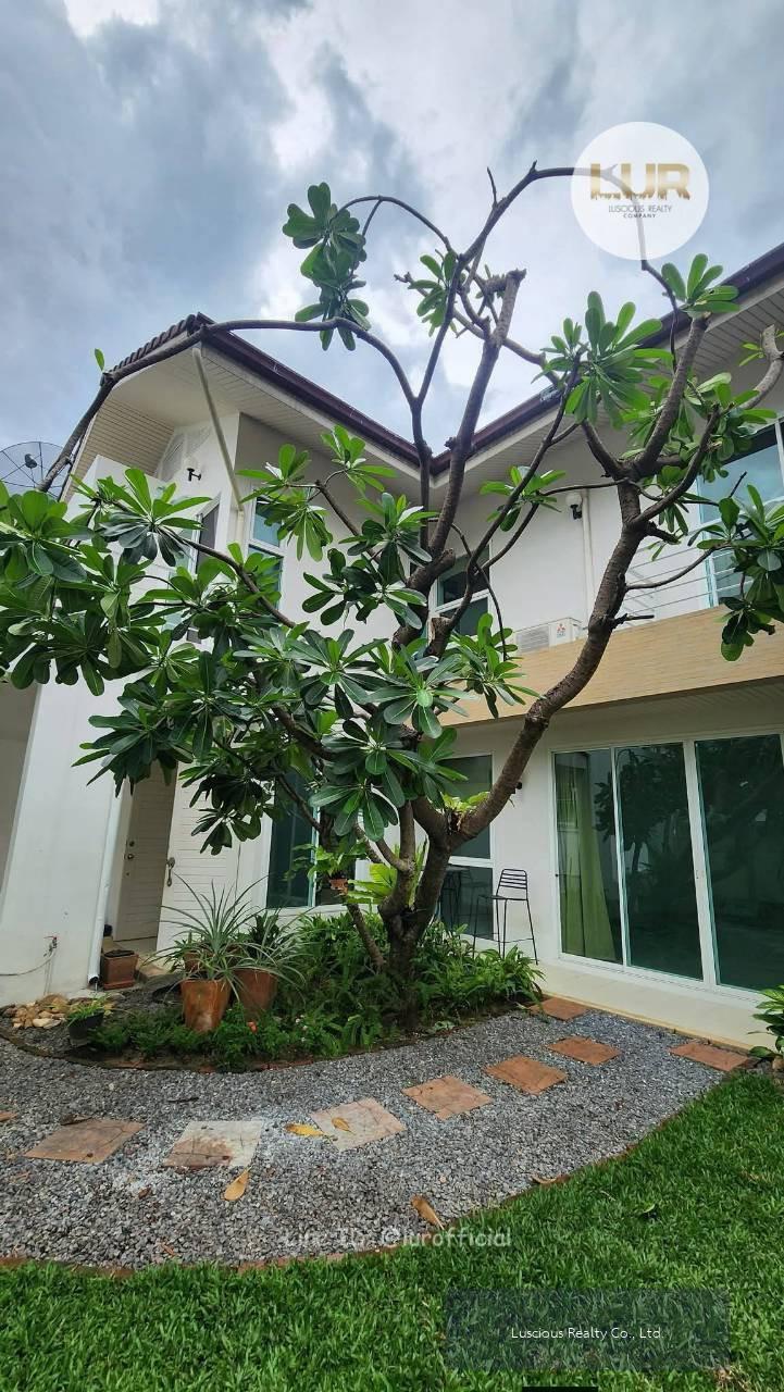 House for Rent Sukhumvit 49 บ้านสวย พร้อมอยู่ ✅Pet Friendly